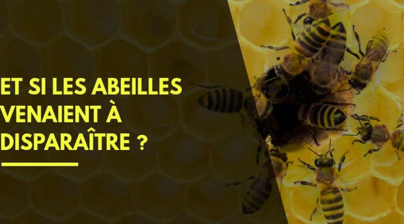 Protection des abeilles