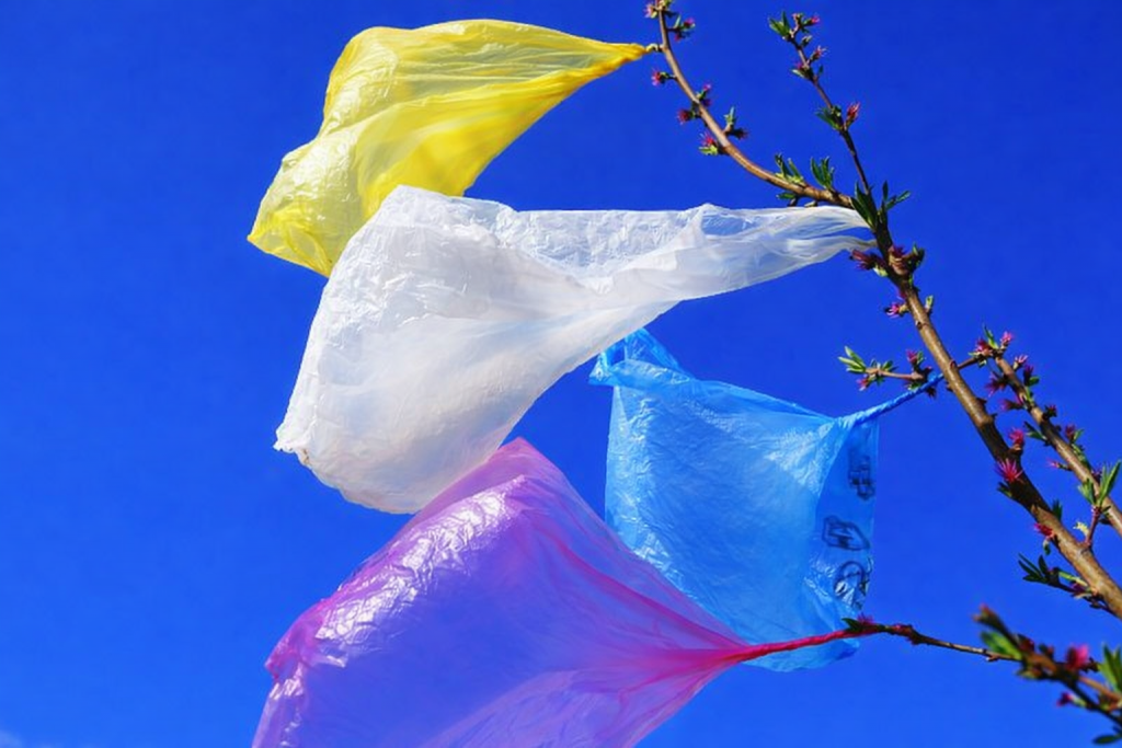 Sacs plastiques légers de différentes couleurs accrochés à une branche d’arbre, emportés par le vent, illustrant la pollution plastique dans la nature.