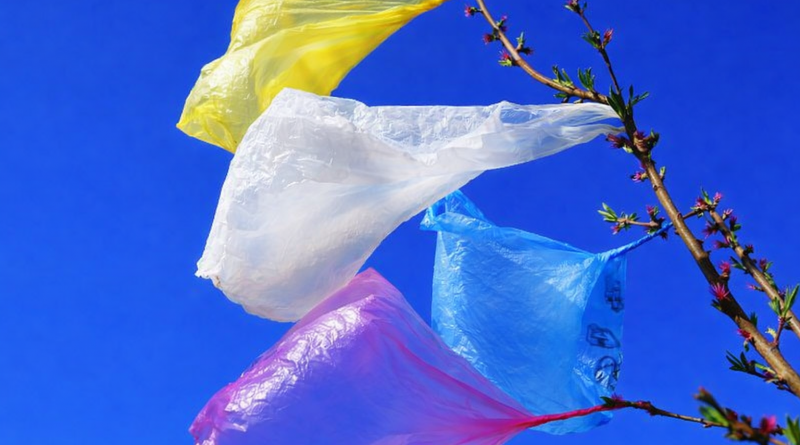 Sacs plastiques légers de différentes couleurs accrochés à une branche d’arbre, emportés par le vent, illustrant la pollution plastique dans la nature.