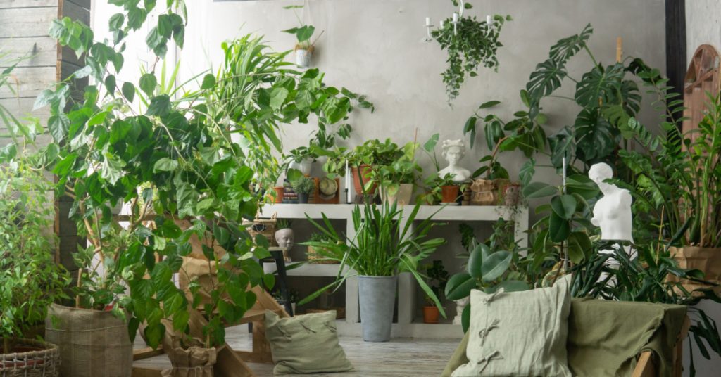 Plantes à bannir à l'intérieur