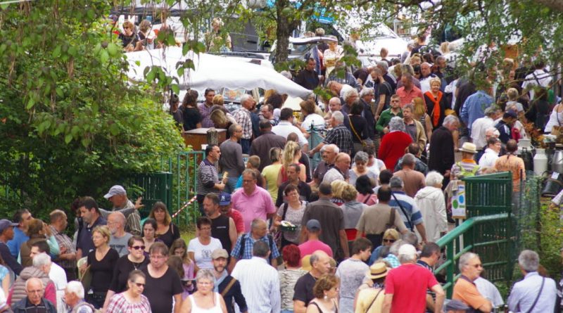 Foule dense de personnes se déplaçant dans une allée étroite lors d’un événement en plein air, entourée de stands et de verdure.
