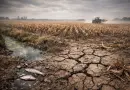 vaste champ agricole uniforme avec sol craquelé et absence de biodiversité illustrant les effets de l’agriculture intensive sur l’environnement