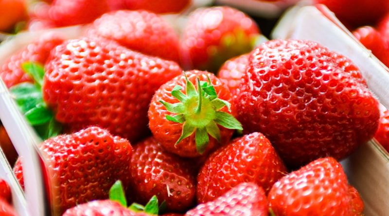 Gros plan de fraises rouges fraîches entassées dans des barquettes, surface brillante et texture détaillée, évoquant des fruits cultivés et récoltés pour la consommation.