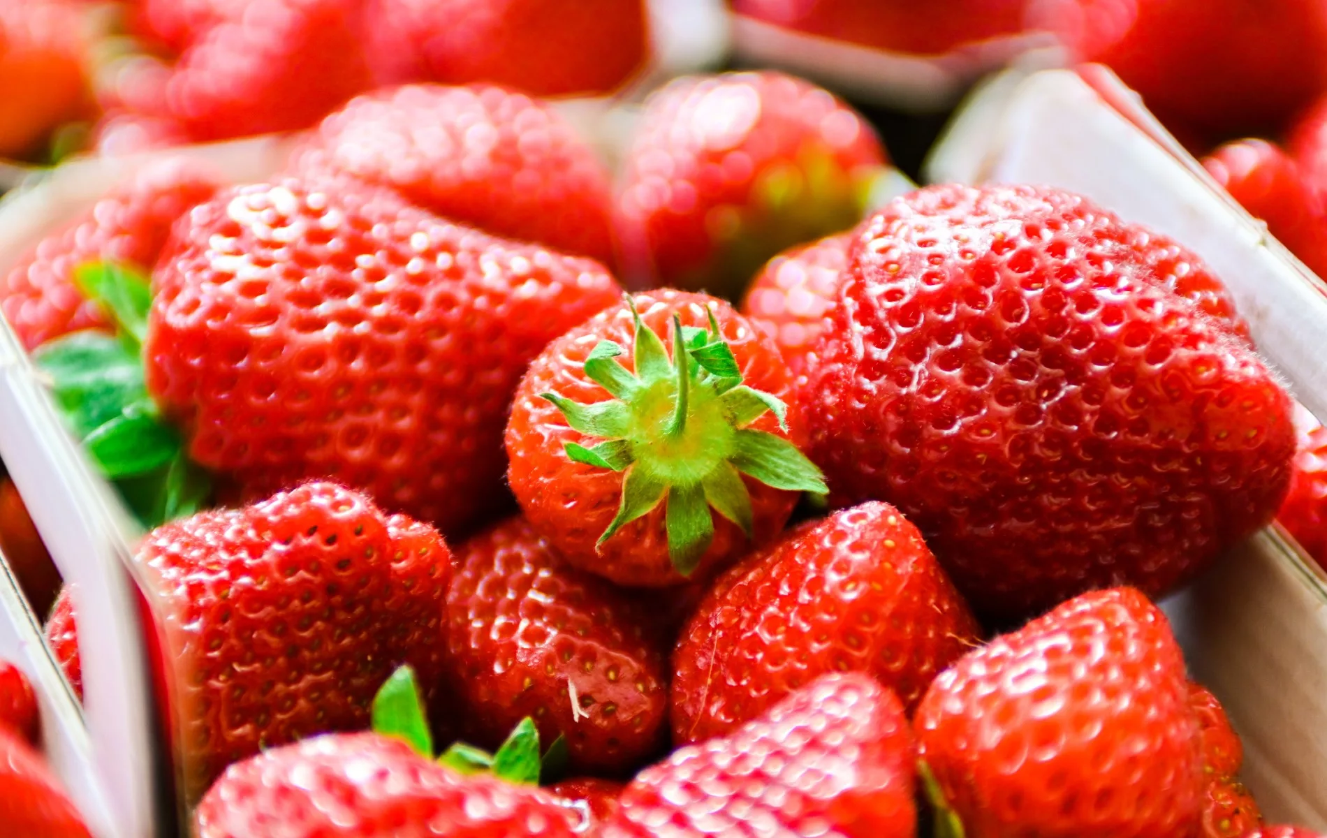 Gros plan de fraises rouges fraîches entassées dans des barquettes, surface brillante et texture détaillée, évoquant des fruits cultivés et récoltés pour la consommation.