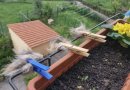 Poils d’animaux fixés avec des pinces à linge sur une rambarde de balcon, mis à disposition des oiseaux pour la construction de leurs nids.