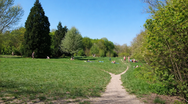 Parc urbain verdoyant avec une grande prairie, un sentier central et plusieurs personnes allongées ou marchant au soleil par temps clair.