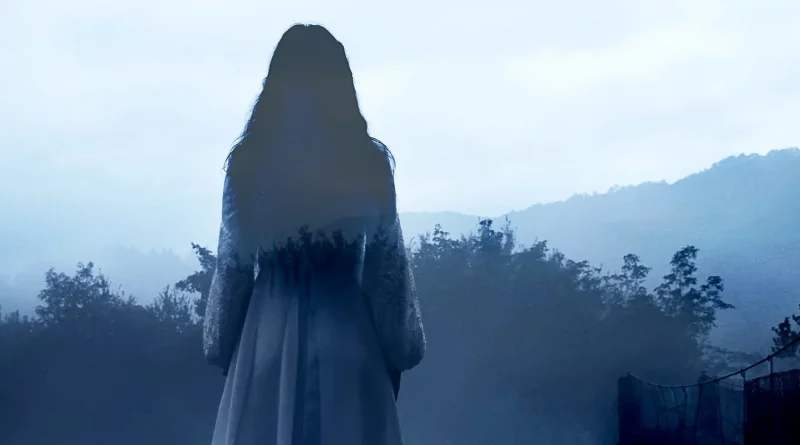 Silhouette féminine vêtue de blanc, vue de dos, immobile dans un paysage brumeux avec arbres et collines en arrière-plan