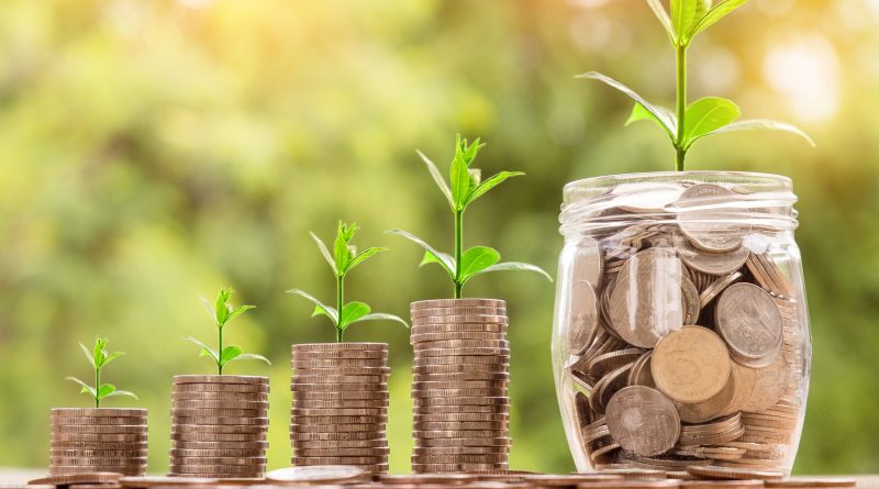 Pile de pièces de monnaie surmontées de jeunes pousses, symbolisant la croissance de l’épargne et des intérêts.