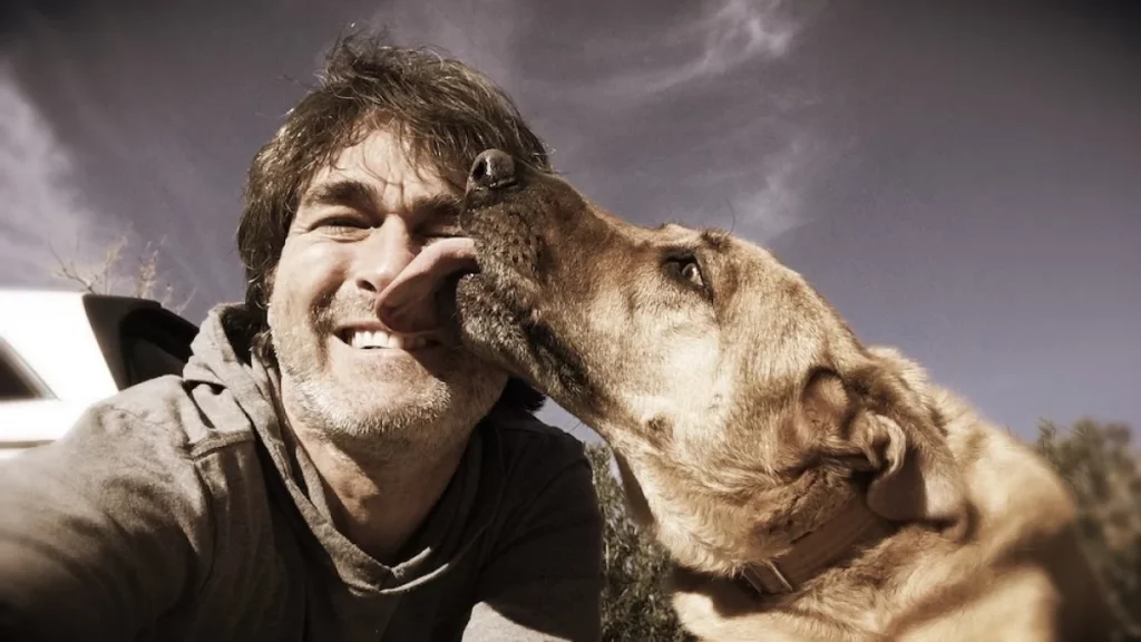 Chien qui lèche affectueusement le visage d’une personne en extérieur, sous un ciel lumineux.