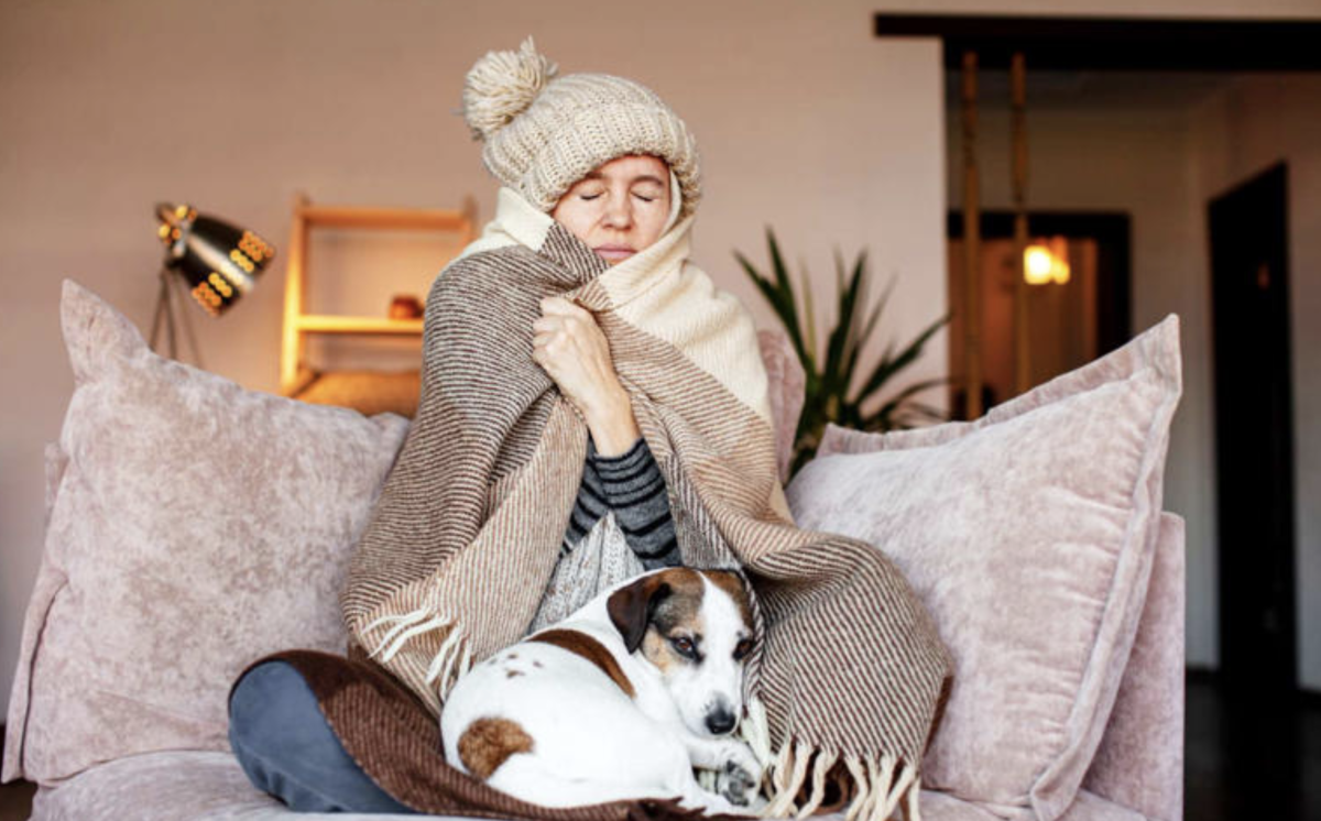 Personne emmitouflée dans une couverture sur un canapé, avec un petit chien posé sur ses genoux, dans un intérieur froid.