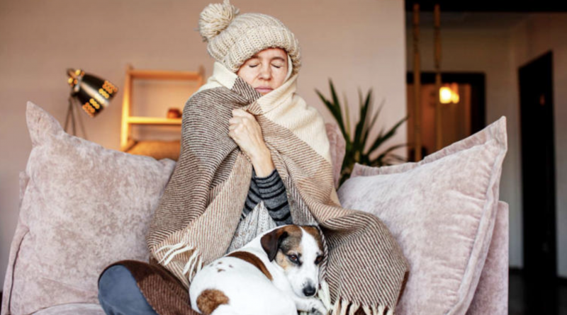 Personne emmitouflée dans une couverture sur un canapé, avec un petit chien posé sur ses genoux, dans un intérieur froid.