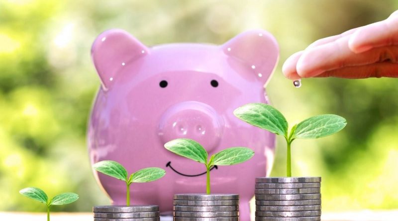 Tirelire rose derrière plusieurs piles de pièces sur lesquelles poussent de jeunes plantes vertes, symbole d’épargne qui progresse lentement