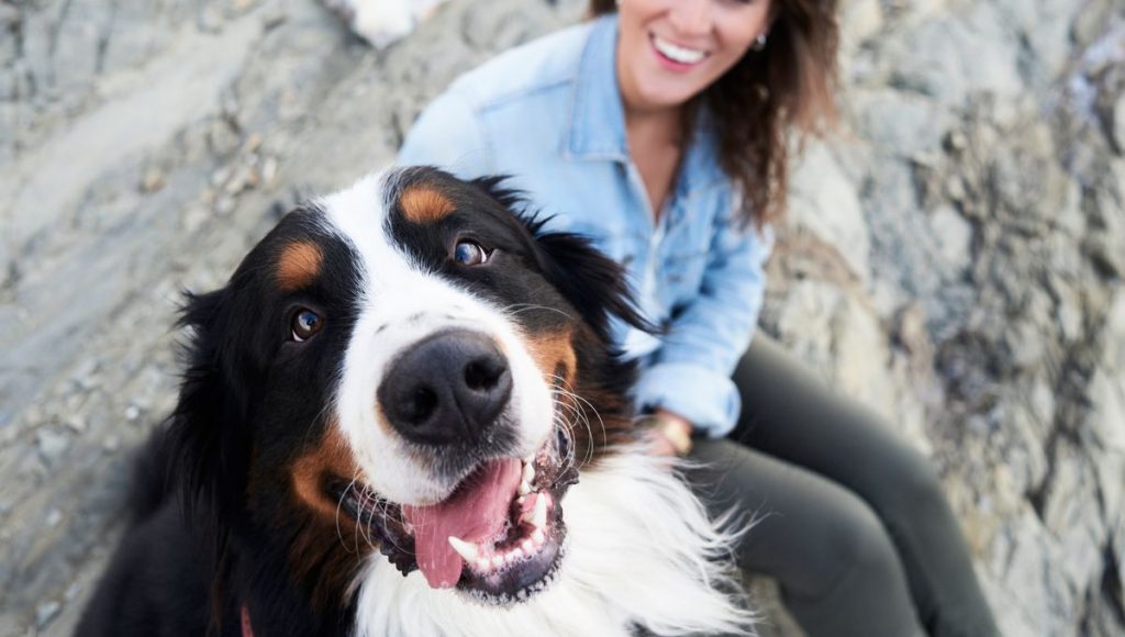 Chien souriant au premier plan regardant la personne qui le photographie, langue sortie, posture détendue, tandis qu’une personne assise derrière lui sourit, illustrant un lien affectif fort entre un chien et son humain