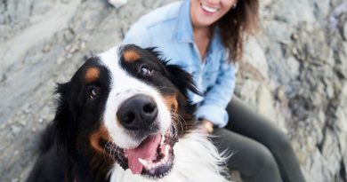 Chien souriant au premier plan regardant la personne qui le photographie, langue sortie, posture détendue, tandis qu’une personne assise derrière lui sourit, illustrant un lien affectif fort entre un chien et son humain