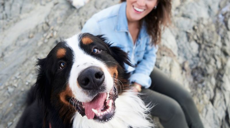 Chien souriant au premier plan regardant la personne qui le photographie, langue sortie, posture détendue, tandis qu’une personne assise derrière lui sourit, illustrant un lien affectif fort entre un chien et son humain