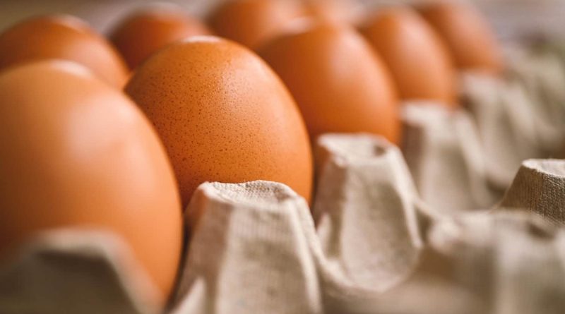 Boîte d’œufs bruns en gros plan dans une barquette en carton, rangée alignée illustrant la pénurie d’œufs dans les supermarchés.