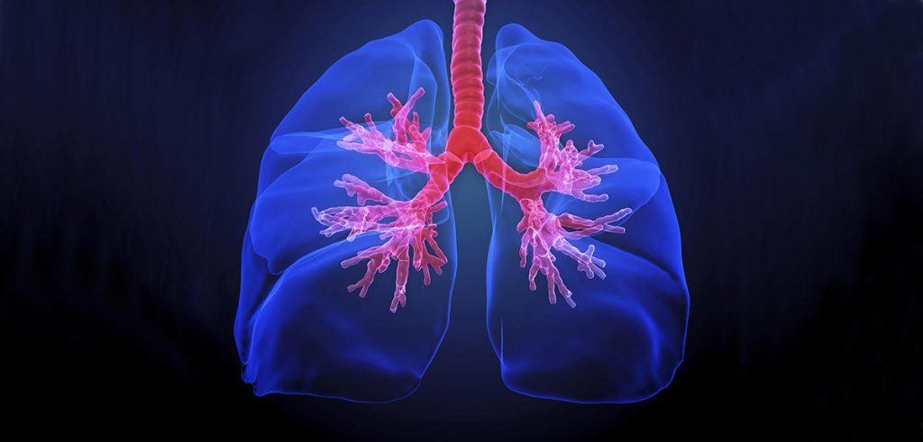 Représentation numérique de poumons lumineux avec bronches en surbrillance illustrant les effets du tabac sur le système respiratoire.