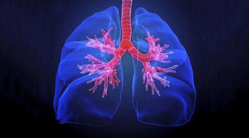 Représentation numérique de poumons lumineux avec bronches en surbrillance illustrant les effets du tabac sur le système respiratoire.