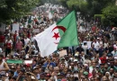 Grande foule rassemblée lors d’une manifestation, avec des drapeaux vert, blanc et rouge brandis au-dessus des participants dans une avenue bordée d’arbres.
