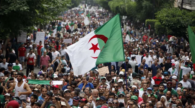 Grande foule rassemblée lors d’une manifestation, avec des drapeaux vert, blanc et rouge brandis au-dessus des participants dans une avenue bordée d’arbres.