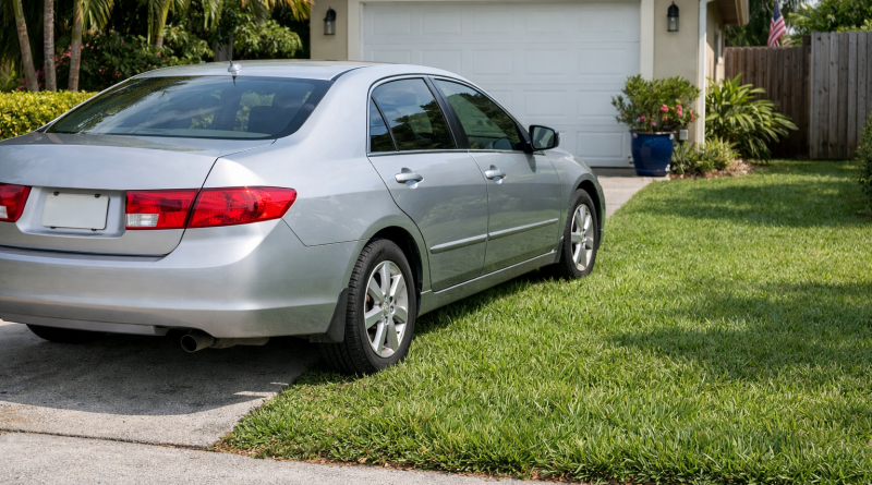 Voiture garée partiellement sur une pelouse résidentielle entourée de végétation verte.