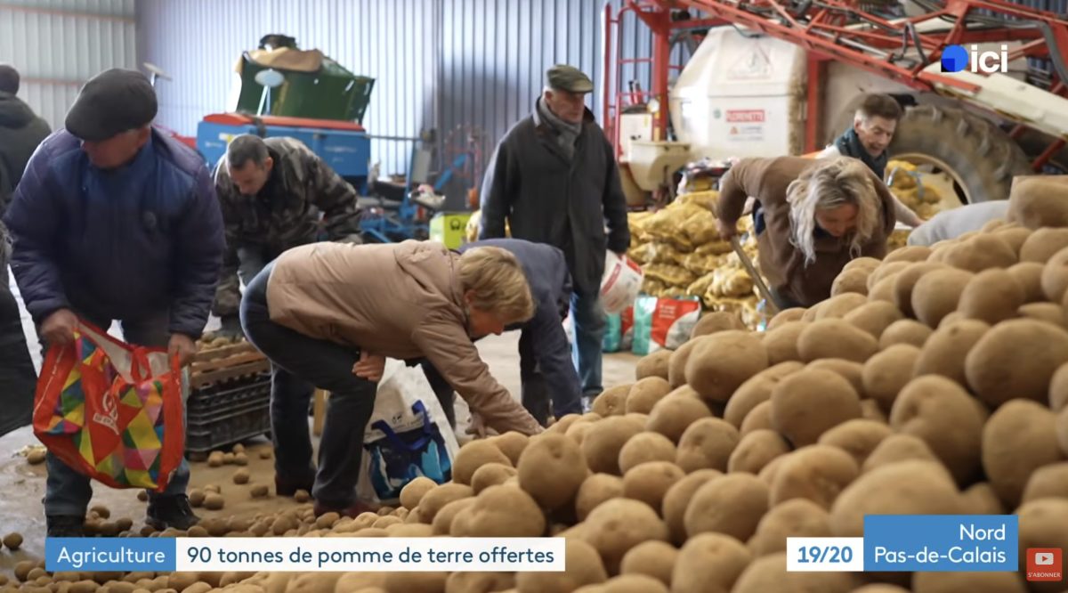Personnes récupérant des pommes de terre directement dans un hangar agricole, grande quantité de tubercules au sol, scène de distribution gratuite liée à une crise de surproduction alimentaire