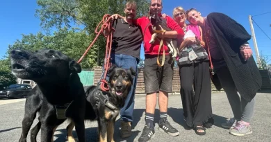 Des propriétaires retrouvent leurs chiens saisis à Rennes, accompagnés par les bénévoles de l’association Gamelles Pleines après leur sortie de fourrière.