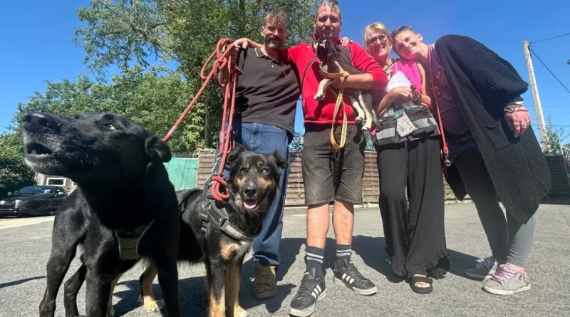 Des propriétaires retrouvent leurs chiens saisis à Rennes, accompagnés par les bénévoles de l’association Gamelles Pleines après leur sortie de fourrière.