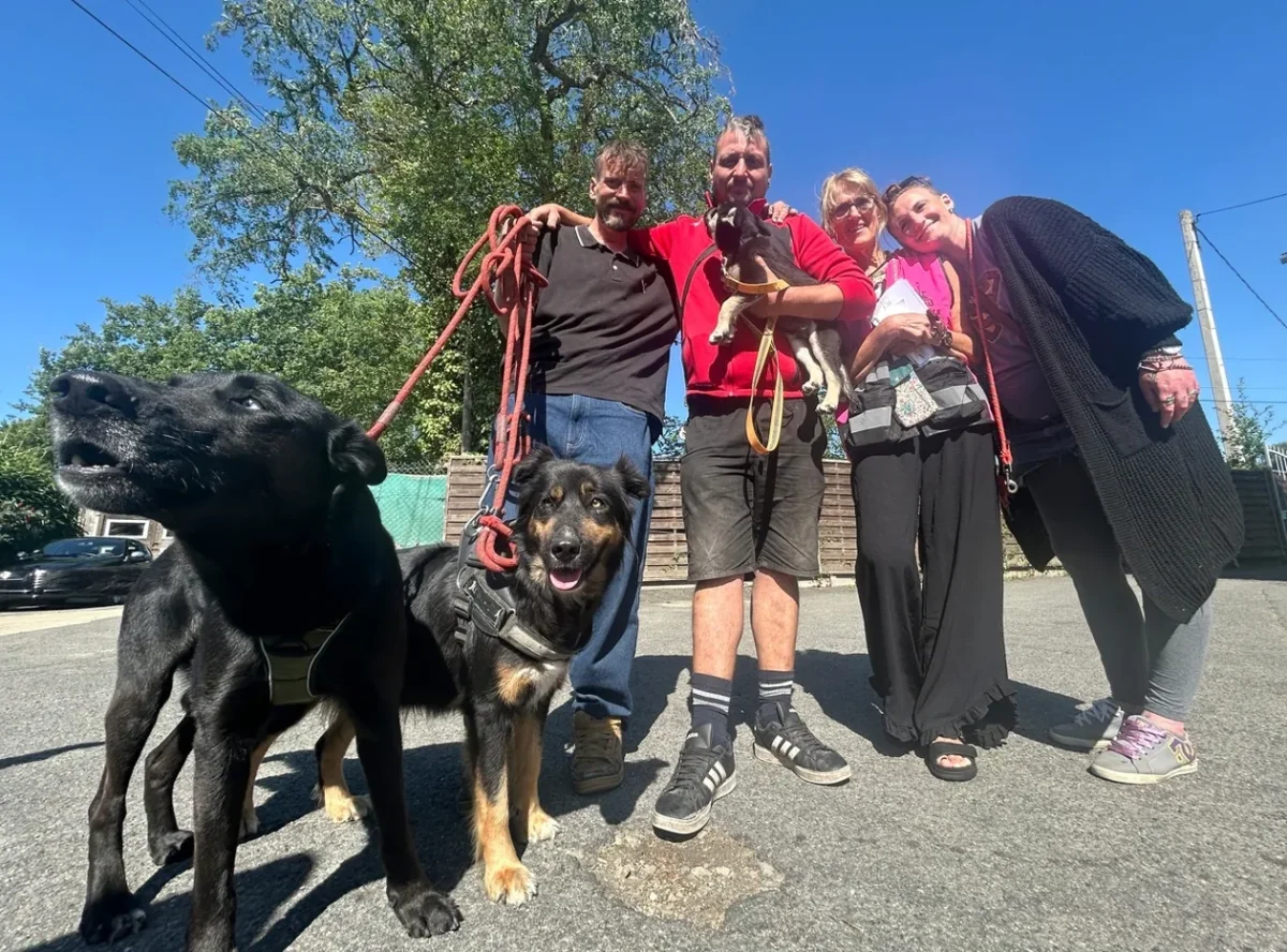 Des propriétaires retrouvent leurs chiens saisis à Rennes, accompagnés par les bénévoles de l’association Gamelles Pleines après leur sortie de fourrière.