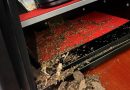 Coffre-fort ouvert dont l’intérieur rouge est envahi par des termites et couvert de débris après la destruction des économies qui y étaient conservées.