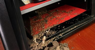 Coffre-fort ouvert dont l’intérieur rouge est envahi par des termites et couvert de débris après la destruction des économies qui y étaient conservées.