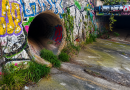 Tunnel du Verdanson à Montpellier couvert de graffitis, lieu où une jeune femme transgenre de 21 ans affirme avoir été victime d’une tentative de viol et d’une violente agression en août 2026.