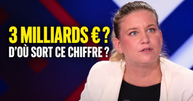 Visuel éditorial sur Mathilde Panot et son estimation de 3 milliards d’euros liée à la régularisation de 250 000 travailleurs sans papiers, avec le texte « 3 milliards € ? D’où sort ce chiffre ? ».